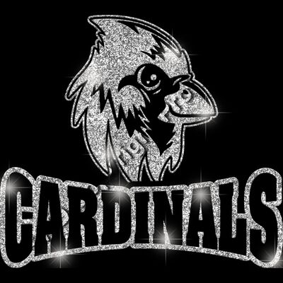 GLT32 SILVER GLITTER Thumbnail