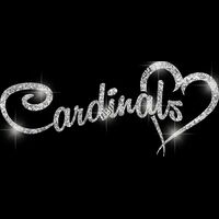 GLT6 SILVER GLITTER Thumbnail